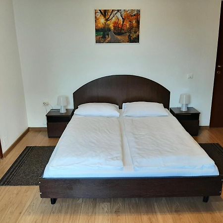 Vila Vanda Cluj-Napoca Luaran gambar